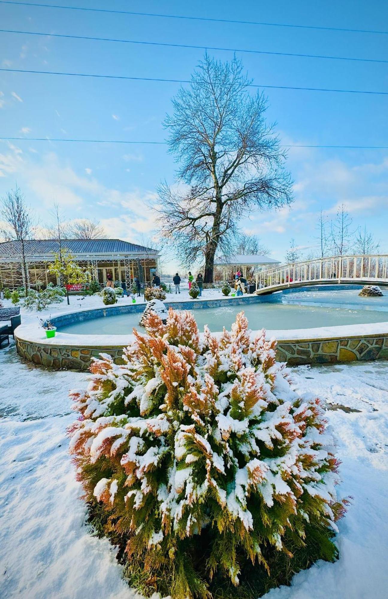 Gabala Bliss Inn Hotel And Restaurant Exterior photo